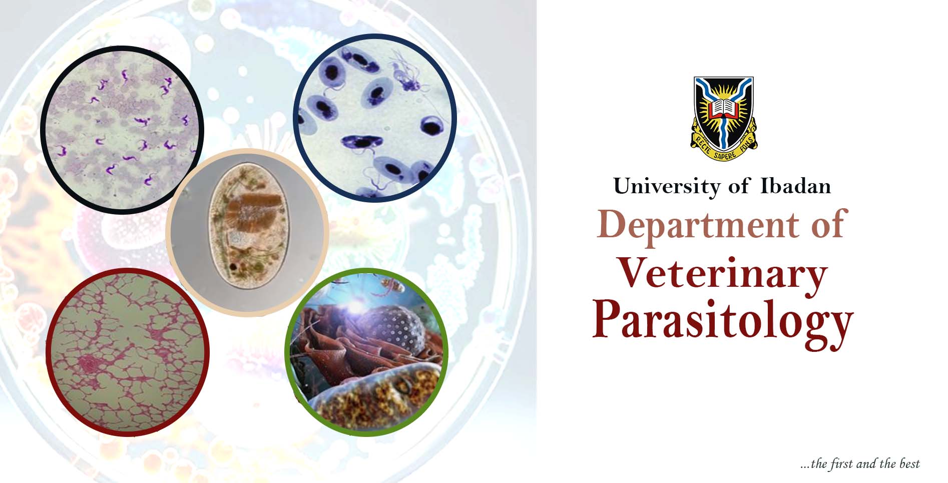 Veterinary Parasitology and Entomology FACULTY OF VETERINARY MEDICINE